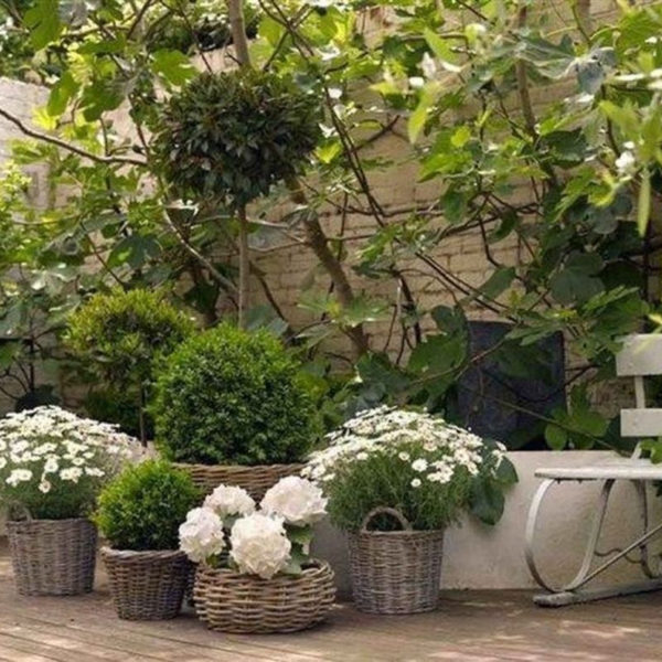 Amazing Garden Design Ideas For Small Space To Try 14