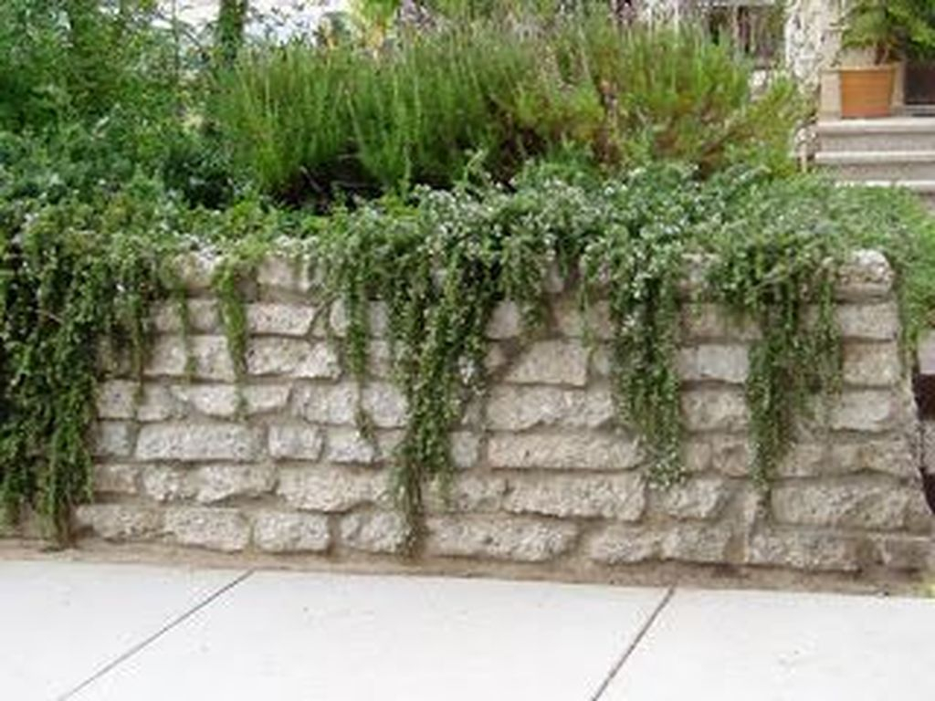 Rustic Wall Outdoor Concrete Ideas For Inspiration 09