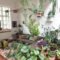Smart Interior Design Ideas With Plants For Home 02