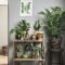 Smart Interior Design Ideas With Plants For Home 04
