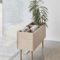Smart Interior Design Ideas With Plants For Home 07