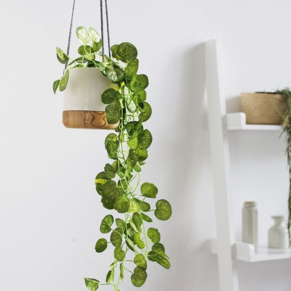 Smart Interior Design Ideas With Plants For Home 11