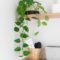 Smart Interior Design Ideas With Plants For Home 13