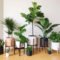 Smart Interior Design Ideas With Plants For Home 17