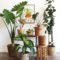 Smart Interior Design Ideas With Plants For Home 20