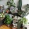 Smart Interior Design Ideas With Plants For Home 23