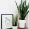 Smart Interior Design Ideas With Plants For Home 26