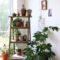 Smart Interior Design Ideas With Plants For Home 27