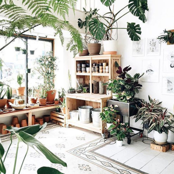 Smart Interior Design Ideas With Plants For Home 29