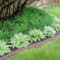 Affordable Backyard Landscaping Ideas You Need To Try Now 02