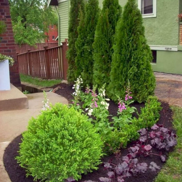 Affordable Backyard Landscaping Ideas You Need To Try Now 19