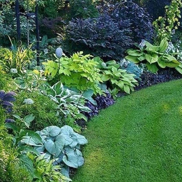 Affordable Backyard Landscaping Ideas You Need To Try Now 23