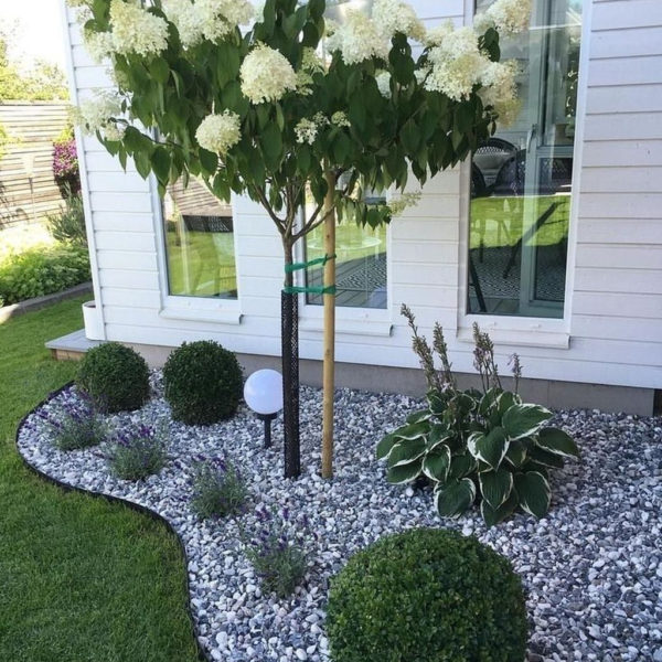 Affordable Backyard Landscaping Ideas You Need To Try Now 26