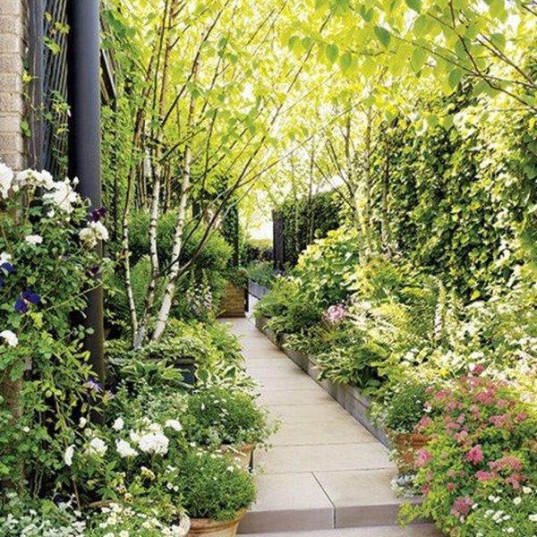 Best Jaw Dropping Urban Gardens Ideas To Copy Asap 09