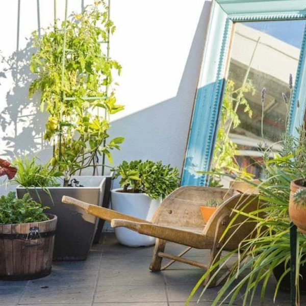 Best Jaw Dropping Urban Gardens Ideas To Copy Asap 32
