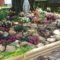 Casual Rock Garden Landscaping Design Ideas To Try This Year 08