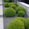 Casual Rock Garden Landscaping Design Ideas To Try This Year 10