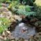 Creative Backyard Ponds Ideas With Waterfalls To Try 13