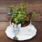 Inspiring Diy Teacup Mini Garden Ideas To Add Bliss To Your Home 03