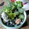 Inspiring Diy Teacup Mini Garden Ideas To Add Bliss To Your Home 05
