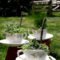 Inspiring Diy Teacup Mini Garden Ideas To Add Bliss To Your Home 06