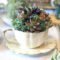 Inspiring Diy Teacup Mini Garden Ideas To Add Bliss To Your Home 09