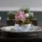 Inspiring Diy Teacup Mini Garden Ideas To Add Bliss To Your Home 13