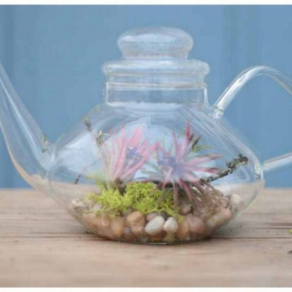 Inspiring Diy Teacup Mini Garden Ideas To Add Bliss To Your Home 20