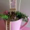 Inspiring Diy Teacup Mini Garden Ideas To Add Bliss To Your Home 21