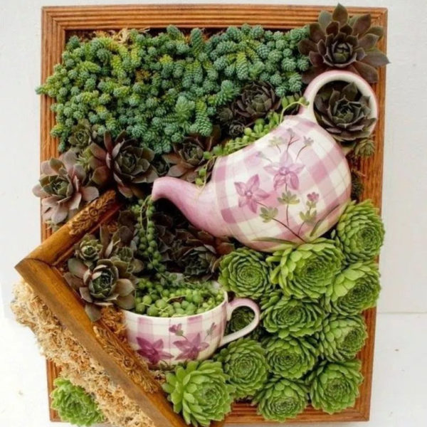 Inspiring Diy Teacup Mini Garden Ideas To Add Bliss To Your Home 25