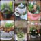 Inspiring Diy Teacup Mini Garden Ideas To Add Bliss To Your Home 27