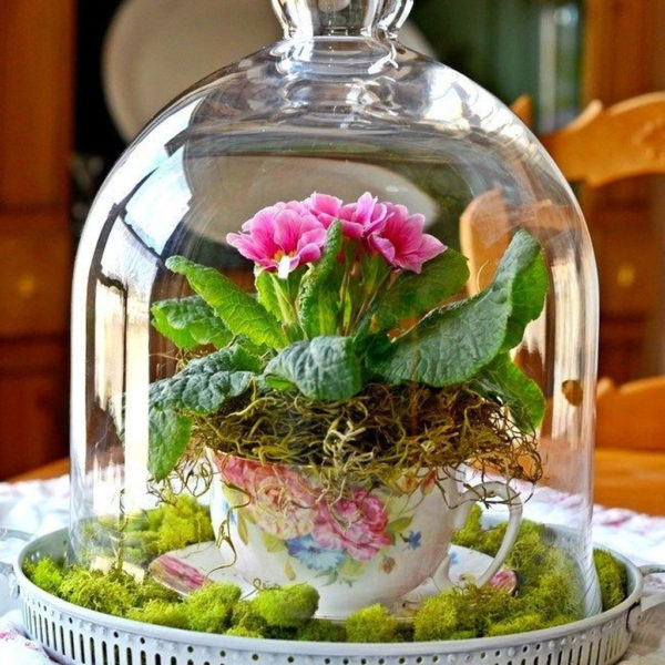 Inspiring Diy Teacup Mini Garden Ideas To Add Bliss To Your Home 32