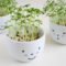 Inspiring Diy Teacup Mini Garden Ideas To Add Bliss To Your Home 33