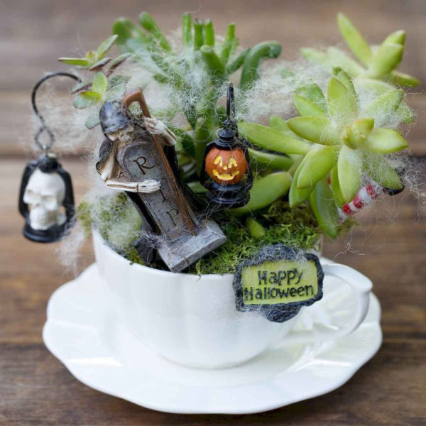 Inspiring Diy Teacup Mini Garden Ideas To Add Bliss To Your Home 35