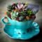 Inspiring Diy Teacup Mini Garden Ideas To Add Bliss To Your Home 38