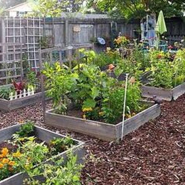 36 Lovely Vegetable Garden Decoration Ideas For You