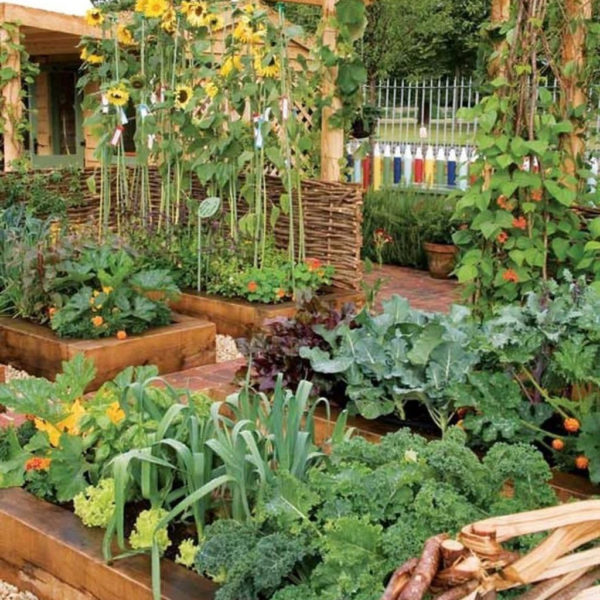 Lovely Vegetable Garden Decoration Ideas For You 07