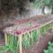 Lovely Vegetable Garden Decoration Ideas For You 20