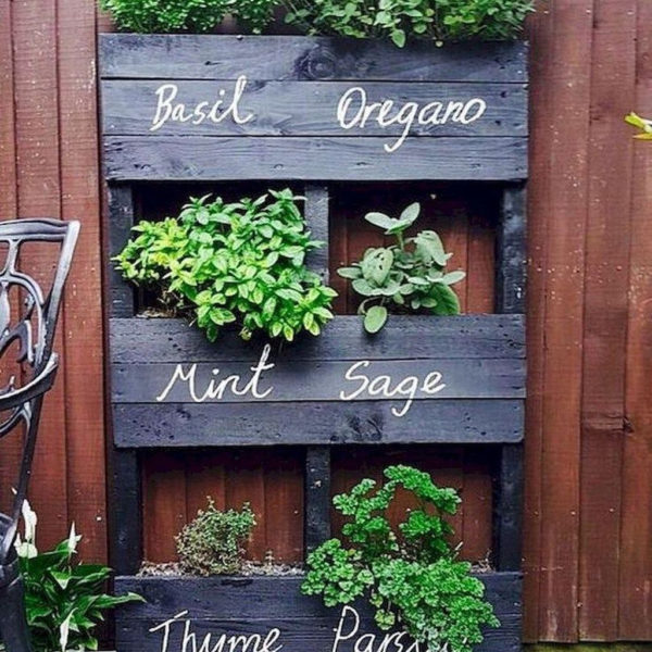 Lovely Vegetable Garden Decoration Ideas For You 22