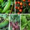 Lovely Vegetable Garden Decoration Ideas For You 29