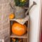 Attractive Fall Decor Ideas For Your Apartment To Try This Year 16
