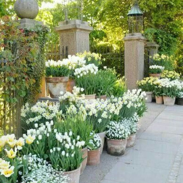 Beautiful Cottage Garden Ideas For Outdoor Space 05