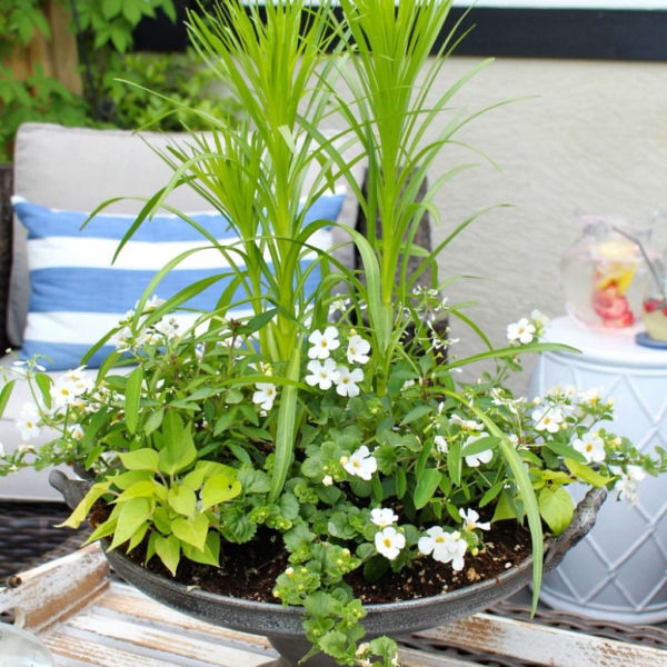 Chic Summer Planter Design Ideas For Summer Outdoor Pool 08