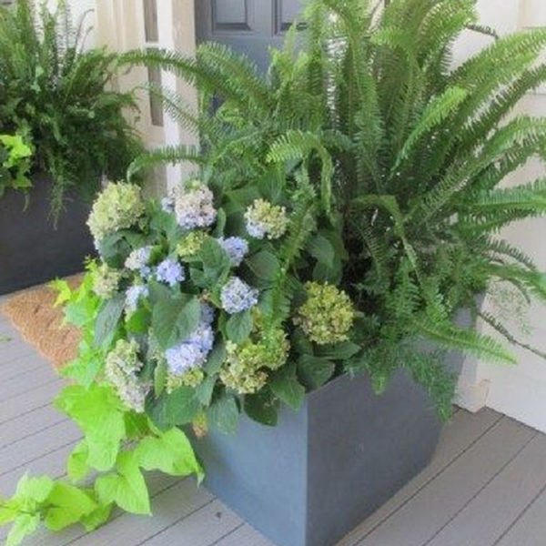 Impressive Summer Planter Design Ideas For Front Yard Decoration 40