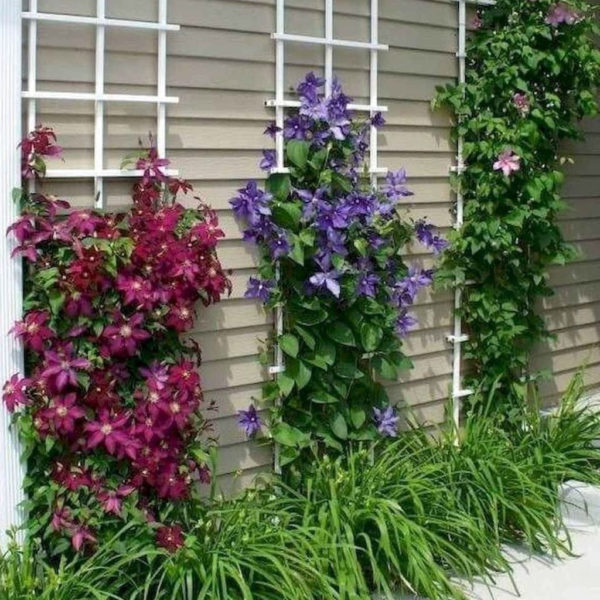 Inexpensive Diy Garden Landscaping Ideas On A Budget To Try 03