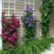 Inexpensive Diy Garden Landscaping Ideas On A Budget To Try 03