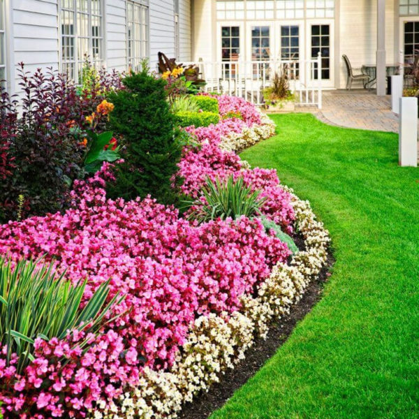 Unique Diy Flower Bed Ideas For Front Yard To Try 10