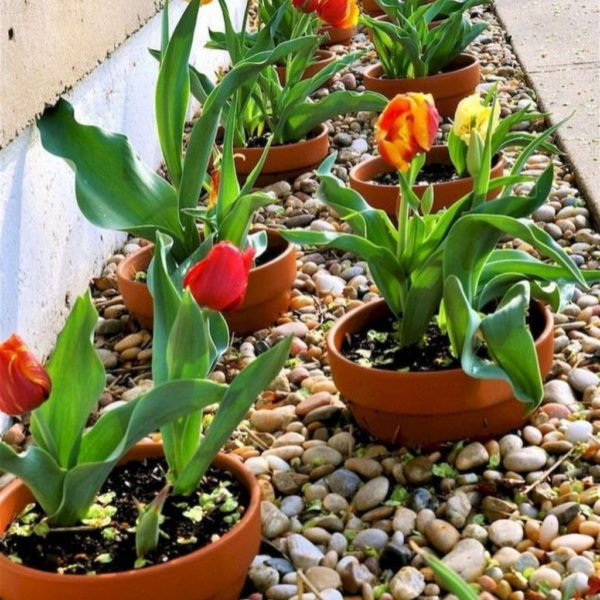 Unique Diy Flower Bed Ideas For Front Yard To Try 19