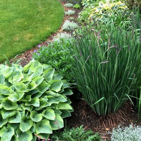 Unique Diy Flower Bed Ideas For Front Yard To Try 23