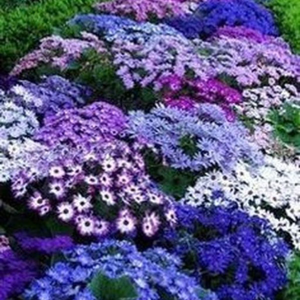 Unique Diy Flower Bed Ideas For Front Yard To Try 29